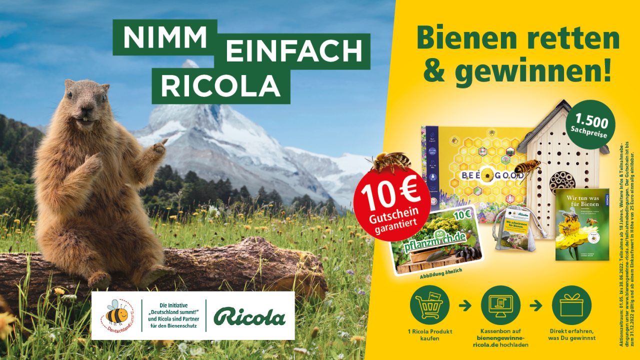 lay_21-242-007_ricola_bienenpromotion_2022_keyvisual_211210_mw_(1).jpg